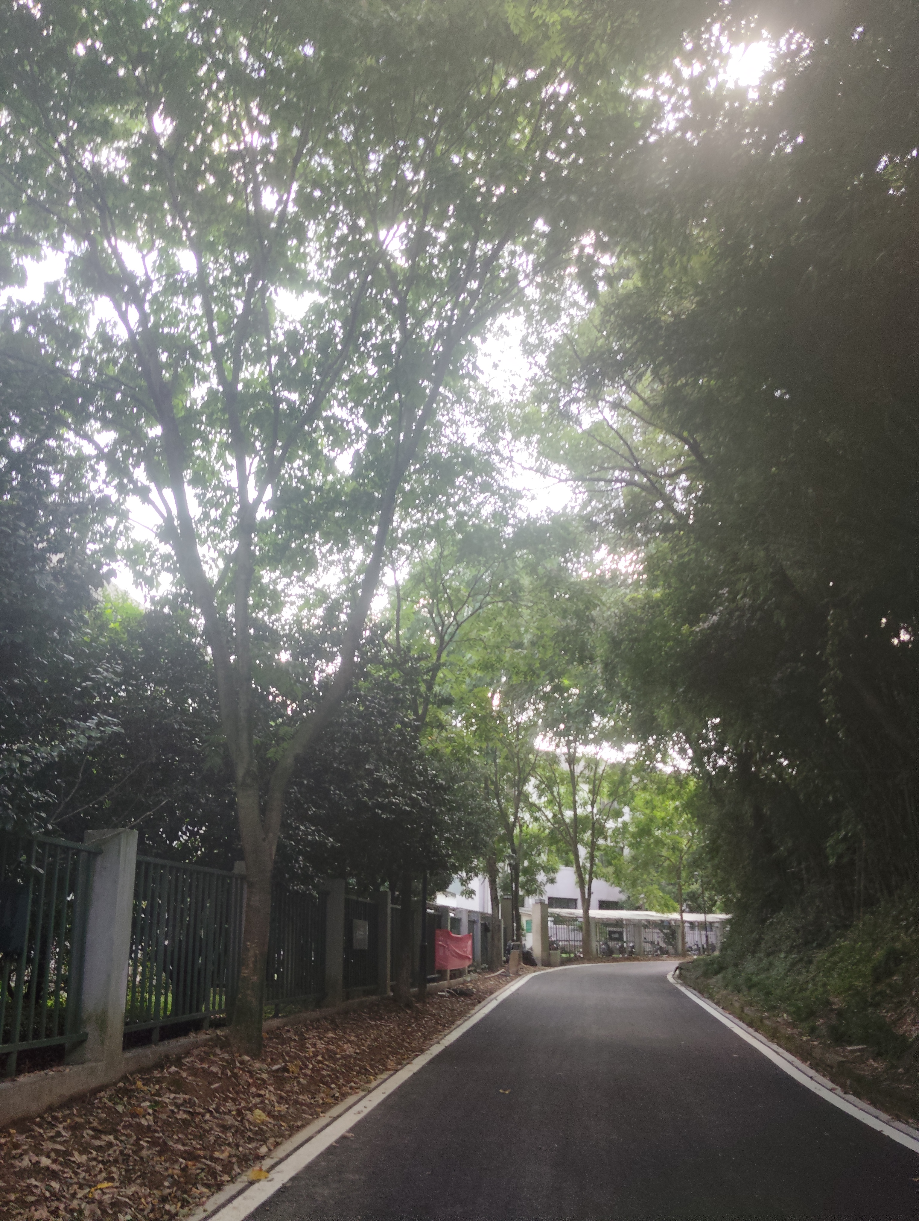 Tingsong