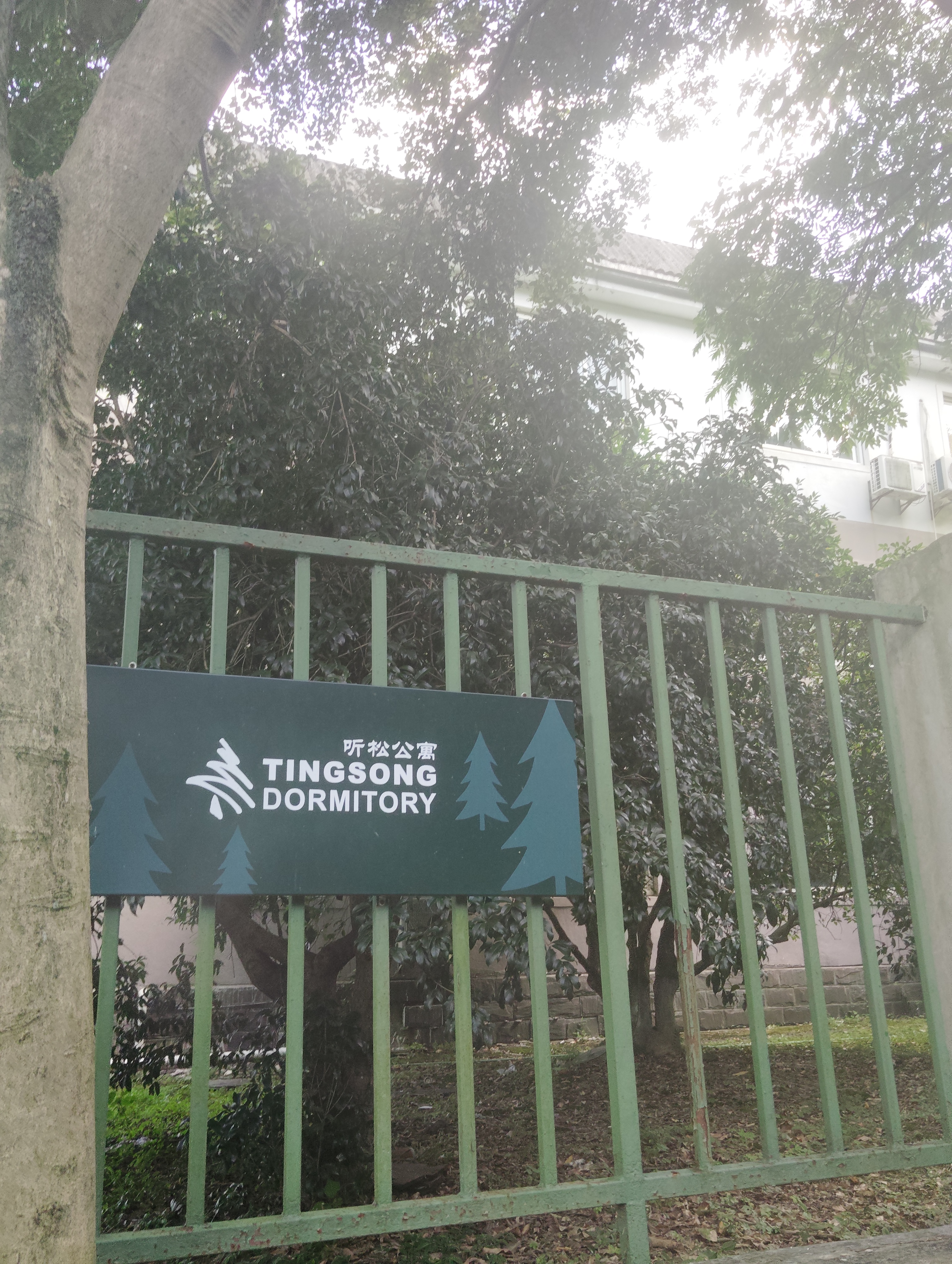 Tingsong
